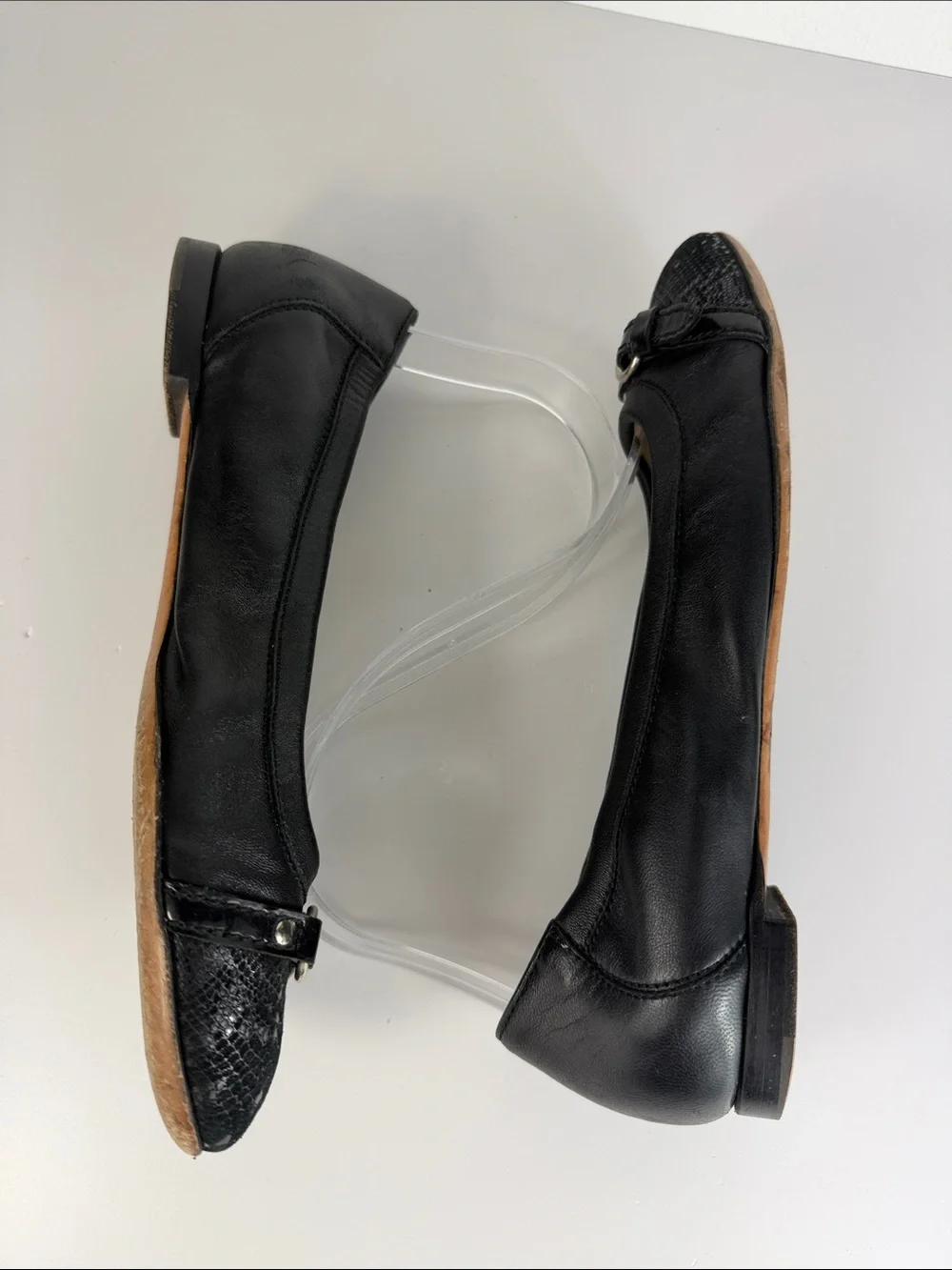 Agl elegant attilio